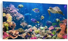 obraz-szklany-rafa-koralowa-ocean-120x60
