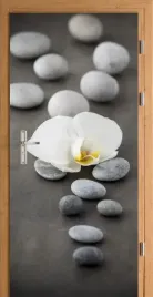 naklejka-fototapeta-na-drzwi-storczyk