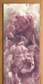 naklejka-fototapeta-na-drzwi-piwonie-piwonia