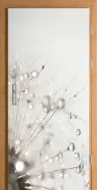 naklejka-fototapeta-na-drzwi-dmuchawiec-kroplawody