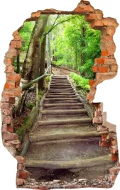 naklejki-na-sciane-fototapeta-3d-dziura-504-schody