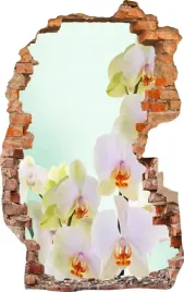 naklejki-na-sciane-fototapeta-3d-dziura-639-kwiaty