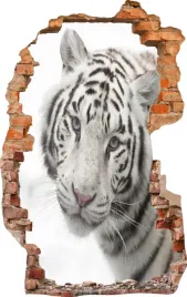 naklejki-na-sciane-fototapeta-3d-dziura-614-tygrys