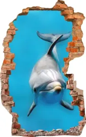 naklejki-na-sciane-fototapeta-3d-dziura-618-delfin