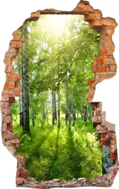 naklejki-na-sciane-fototapeta-dziura-586-las