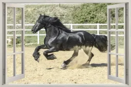 fototapeta-okno-krajobraz-kon-czarny