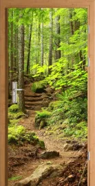 naklejka-na-drzwi-samoprzylepna-lesna-droga-natura