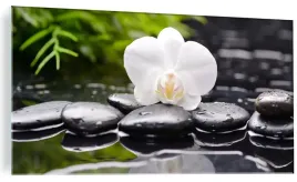 obraz-na-szkle-szklany-biala-orchidea-120x60