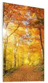 foto-obraz-szklany-jesien-park-drzewa-50x100-cm