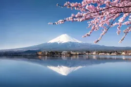 fototapeta-3d-na-wymiar-do-sypialni-kwiat-wisni-gora-fuji-japan-winylowa