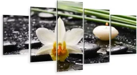 tryptyk-5-cz-na-plotni-biala-orchidea-kwiat-zen