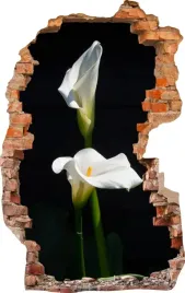naklejki-na-sciane-fototapeta-dziura-760-kwiat
