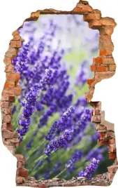 naklejki-na-sciane-fototapeta-dziura-668-kwiaty