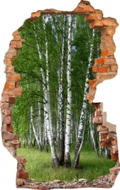 naklejki-na-sciane-fototapeta-3d-dziura-737-las