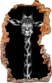 naklejki-na-sciane-fototapeta-dziura-721-zyrafa