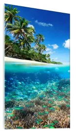 obraz-na-szkle-scienny-rafa-koralowa-ocean-60x120