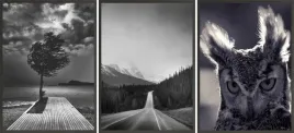 zestaw-plakatow-postery-3x-30x40-sowa-las-droga