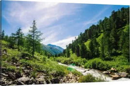 obraz-na-plotnie-strumyk-w-gorach-70x50-wybor-wz