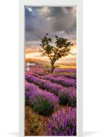 folia-fototapeta-na-drzwi-lawenda-wschod-slonca