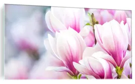 obraz-na-szkle-szklany-magnolia-kwiaty-120x60