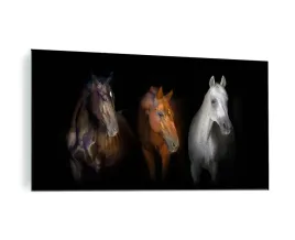 obraz-na-szkle-szklany-konie-kon-120x60cm