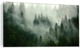 obraz-na-szkle-do-salonu-sypialni-lan-natura-mgla-drzewa-100x50