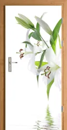 naklejka-na-drzwi-samoprzylepna-wanilia-biale-tlo