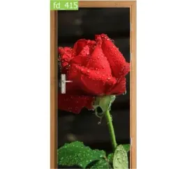 fototapeta-naklejka-na-drzwi-roza-natura-flora