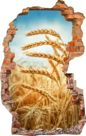 naklejki-na-sciane-fototapeta-3d-dziura-619-zboze