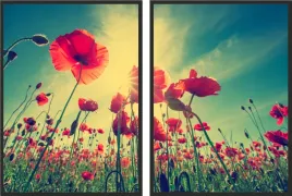 obraz-plakaty-dyptyk-60x40-kwiaty-maki-slonce