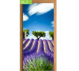 fototapeta-naklejka-na-drzwi-pole-lawendy-lawenda