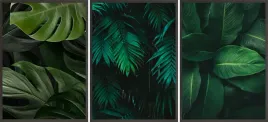 plakaty-3x-30x40-lisc-monstera-dzungla-liscie