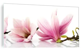 obraz-na-szkle-szklany-do-salonu-magnolia-100x50cm