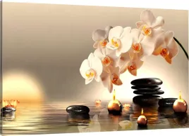 obraz-na-plotnie-biala-orchidea-70x50-800-wzorow