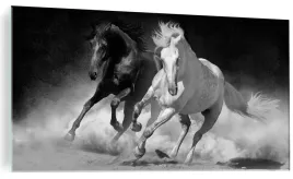 foto-obraz-szklo-hartowane-konie-galop-120x60