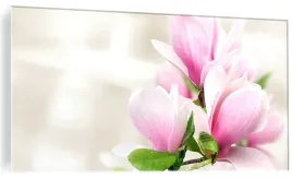 obraz-ze-szkla-hartowanego-kwiat-magnolii-120x60