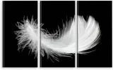 elegancki-tryptyk-na-plotnie-biale-piorko-pioro