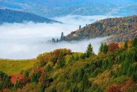 fototapeta-3d-na-wymiar-do-salonu-zlota-jesien-gory-karpaty-winylowa