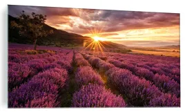 obraz-na-szkle-pole-lawendy-prowansja-szlo-120x60c