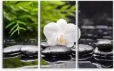 tryptyk-na-plotnie-orchidea-kamienie-zen-spa