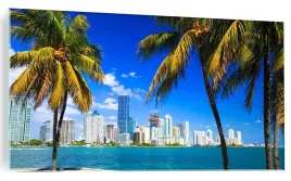 obraz-na-szkle-miami-palmy-widok-na-miasto-120x60