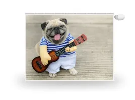 mata-magnes-na-kaloryfer-mops-pies-gra-na-gitarze