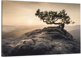 obraz-na-sciane-scienny-drzewo-widok-120x80-cm