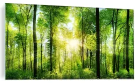 obraz-na-szkle-do-salonu-las-promien-slonca-120x60