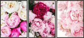 zestaw-plakatow-ramki-3x-33x43-piwonie-roz-biale