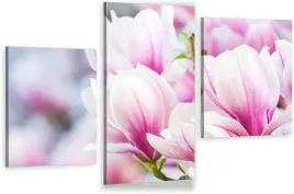 tryptyk-obraz-na-sciane-do-salonu-magnolia-kwiaty