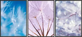zestaw-plakatow-ramki-3x-33x43-dmuchawce-abstrak