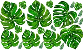 naklejki-naklejka-monstera-liscie-na-sciane-wybor