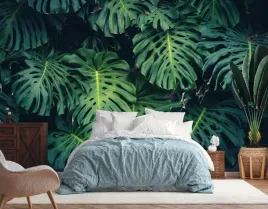 fototapeta-fizelina-monstery-monstera-lisc-380x260
