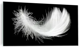 obraz-na-szkle-biale-piorko-pioro-sztuka-120x60-cm
